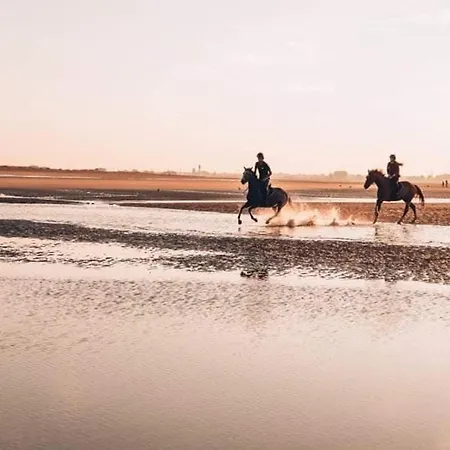 Lumineux Avec 2 Au Coeur De Merville-franceville - Fr-1-465-111 Apartmán