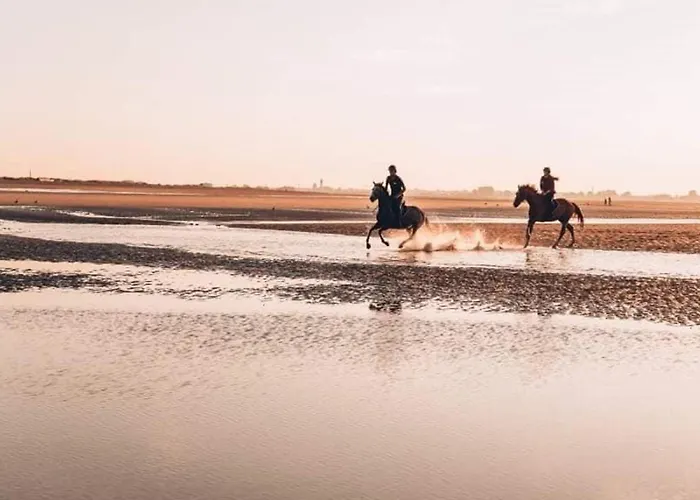 Lumineux Avec 2 Au Coeur De Merville-franceville - Fr-1-465-111 Lejlighed